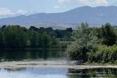cropped-IMG_0964-scaled-1